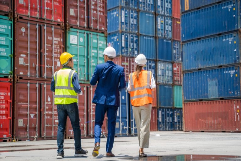 Customs & Logistics Consultation – CSW